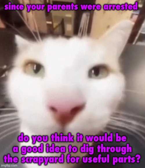 @masq | since your parents were arrested; do you think it would be a good idea to dig through the scrapyard for useful parts? | image tagged in the stare | made w/ Imgflip meme maker