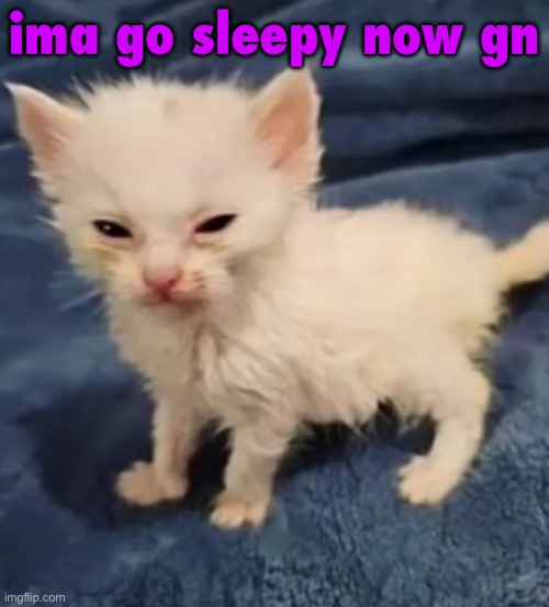 Car :3 | ima go sleepy now gn | image tagged in car 3 | made w/ Imgflip meme maker
