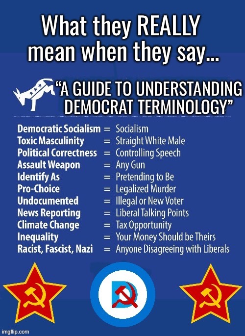 Just a small selection… | What they REALLY 
mean when they say… | image tagged in political meme,democrats,what they really mean,leftists | made w/ Imgflip meme maker