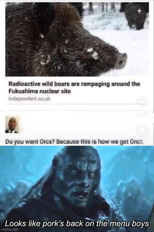 Pork meat | Looks like pork’s back on the menu boys | image tagged in lord of the rings meat's back on the menu,orcs,pork,pigs,nuclear,radiation | made w/ Imgflip meme maker