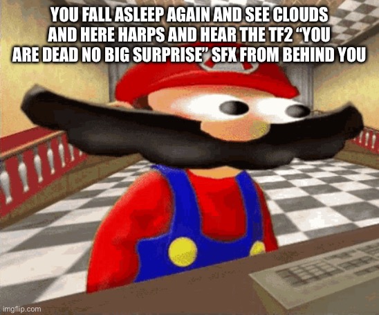 smg4 Mario big eyes and big mush catch | YOU FALL ASLEEP AGAIN AND SEE CLOUDS AND HERE HARPS AND HEAR THE TF2 “YOU ARE DEAD NO BIG SURPRISE” SFX FROM BEHIND YOU | image tagged in smg4 mario big eyes and big mush catch | made w/ Imgflip meme maker