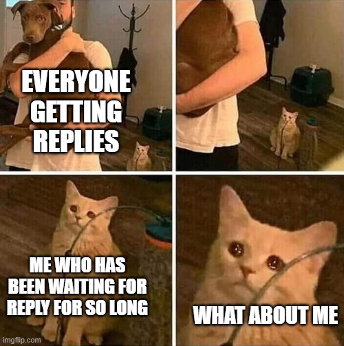 Ignored lonely alone sad | EVERYONE GETTING REPLIES; ME WHO HAS BEEN WAITING FOR REPLY FOR SO LONG; WHAT ABOUT ME | image tagged in ignored cat | made w/ Imgflip meme maker
