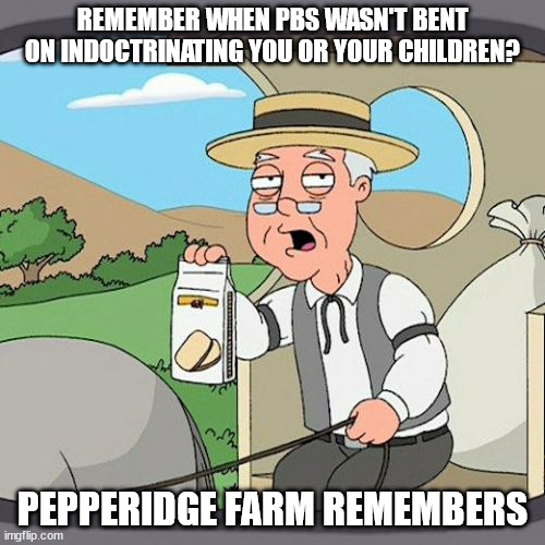 RIP the old Arthur, the old Sesame Street, the old Kratt Brothers, and the old Bill Nye the Science Guy. | REMEMBER WHEN PBS WASN'T BENT ON INDOCTRINATING YOU OR YOUR CHILDREN? PEPPERIDGE FARM REMEMBERS | image tagged in memes,pepperidge farm remembers | made w/ Imgflip meme maker