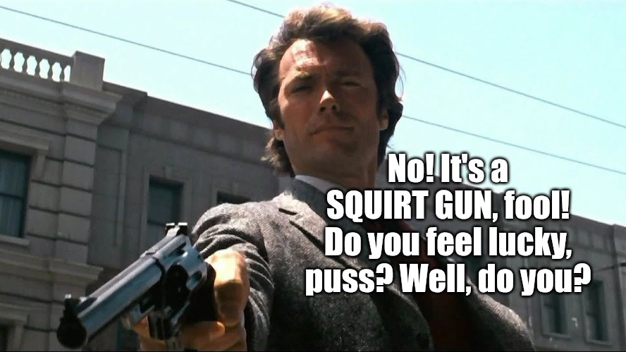 Feel lucky punk? | No! It's a SQUIRT GUN, fool! Do you feel lucky, puss? Well, do you? | image tagged in feel lucky punk | made w/ Imgflip meme maker