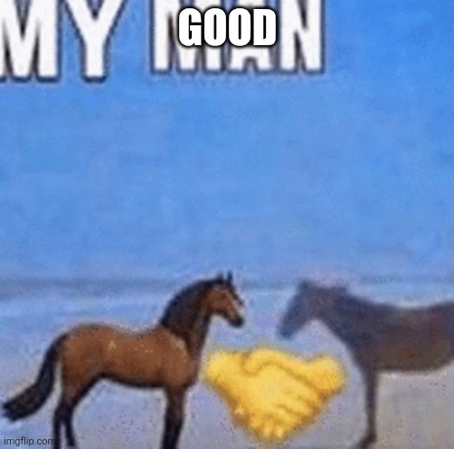 My man | GOOD | image tagged in my man | made w/ Imgflip meme maker
