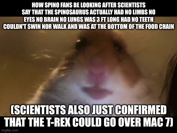 spino nerf | HOW SPINO FANS BE LOOKING AFTER SCIENTISTS SAY THAT THE SPINOSAURUS ACTUALLY HAD NO LIMBS NO EYES NO BRAIN NO LUNGS WAS 3 FT LONG HAD NO TEETH COULDN'T SWIN NOR WALK AND WAS AT THE BOTTOM OF THE FOOD CHAIN; (SCIENTISTS ALSO JUST CONFIRMED THAT THE T-REX COULD GO OVER MAC 7) | image tagged in hamster looking at camera,dinosaurs | made w/ Imgflip meme maker