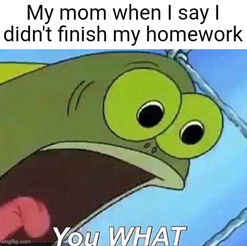 Fr fr | My mom when I say I didn't finish my homework | image tagged in you what,homework,homework sucks,memes | made w/ Imgflip meme maker