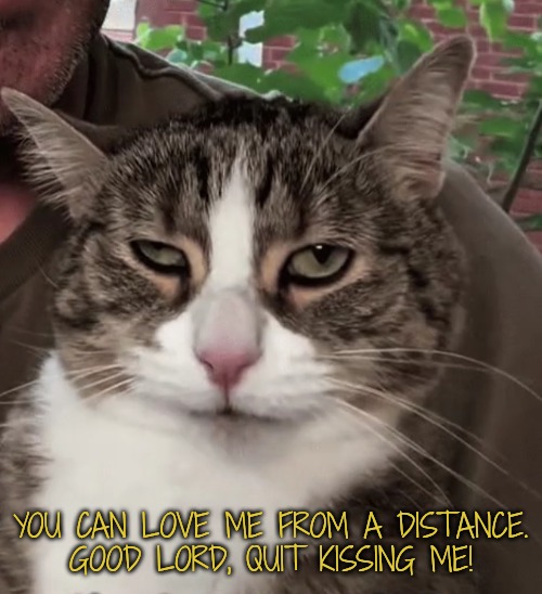 YOU CAN LOVE ME FROM A DISTANCE.
GOOD LORD, QUIT KISSING ME! | made w/ Imgflip meme maker