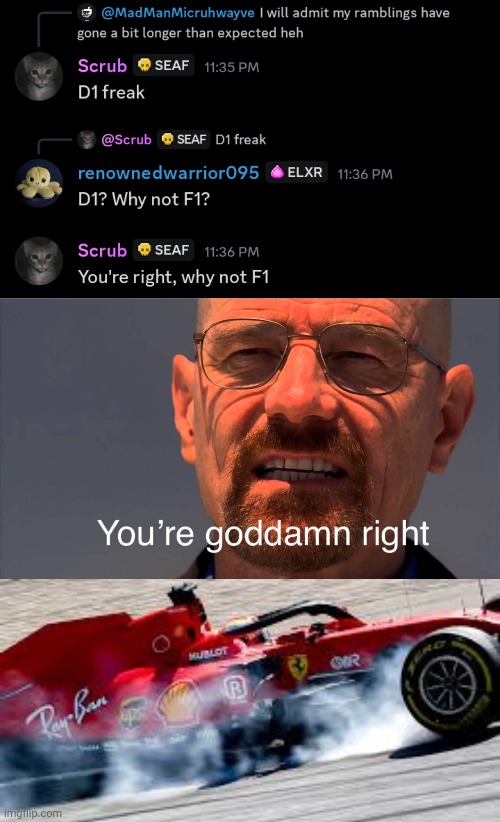 Yes | image tagged in your goddam right,vettel spin | made w/ Imgflip meme maker