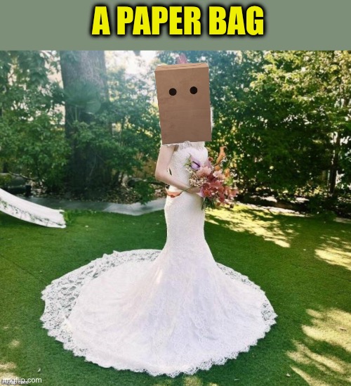 A PAPER BAG | made w/ Imgflip meme maker