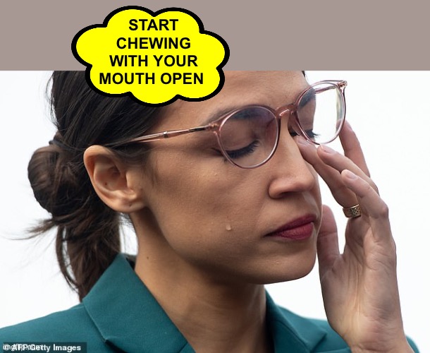 her brain is sweating | START CHEWING WITH YOUR MOUTH OPEN | image tagged in her brain is sweating | made w/ Imgflip meme maker