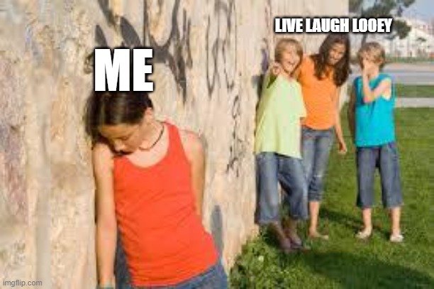 live laugh looey is such a bully so i tried to make this bcuz why not | LIVE LAUGH LOOEY; ME | image tagged in bullying | made w/ Imgflip meme maker