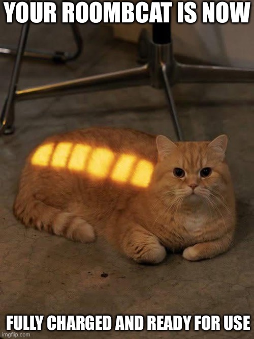 Roombcat | YOUR ROOMBCAT IS NOW; FULLY CHARGED AND READY FOR USE | image tagged in roomba,cat,charger,ready | made w/ Imgflip meme maker