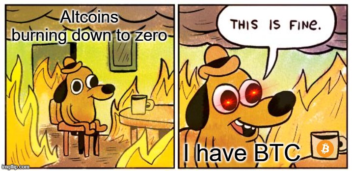 This Is Fine Meme | Altcoins burning down to zero; I have BTC | image tagged in memes,this is fine | made w/ Imgflip meme maker