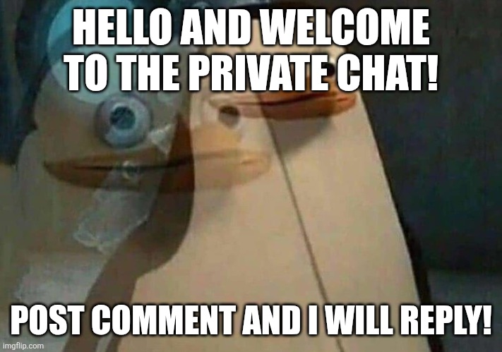 private penguin existential crisis | HELLO AND WELCOME TO THE PRIVATE CHAT! POST COMMENT AND I WILL REPLY! | image tagged in private penguin existential crisis | made w/ Imgflip meme maker