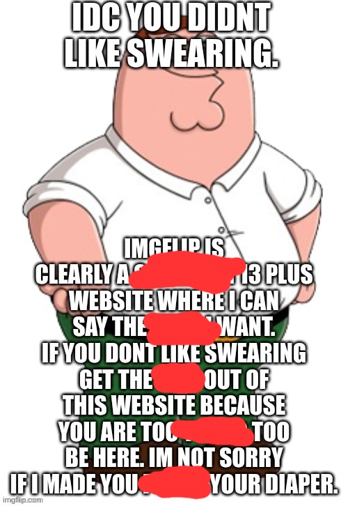 idc you didnt like swearing | image tagged in idc you didnt like swearing | made w/ Imgflip meme maker