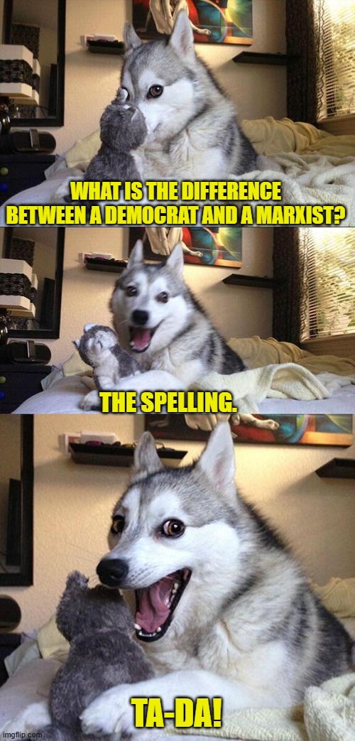 It's bad puns Sunday!  Cower in dread! | WHAT IS THE DIFFERENCE BETWEEN A DEMOCRAT AND A MARXIST? THE SPELLING. TA-DA! | image tagged in bad pun dog | made w/ Imgflip meme maker