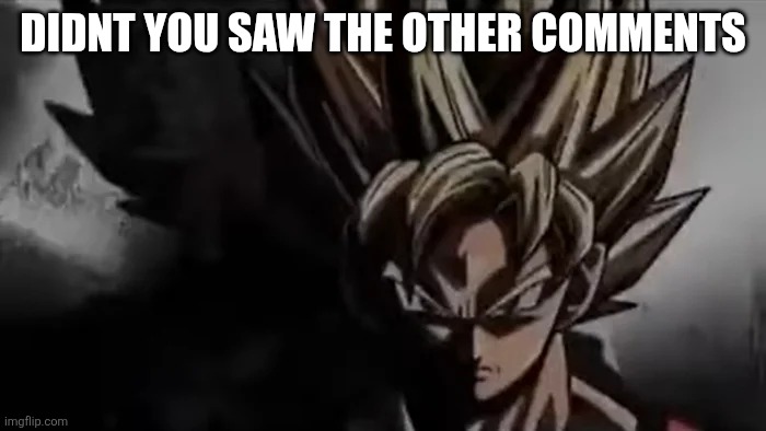 Goku Staring | DIDNT YOU SAW THE OTHER COMMENTS | image tagged in goku staring | made w/ Imgflip meme maker