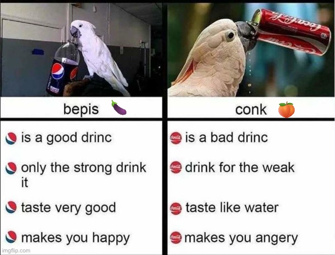 Pepsi vs Coke: which is better | image tagged in conke vs bepis,meme,dank memes | made w/ Imgflip meme maker