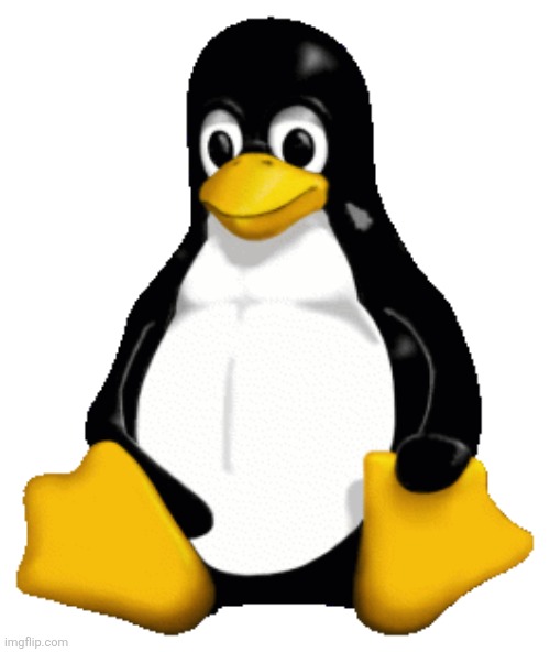 Linux | image tagged in tux from linux | made w/ Imgflip meme maker