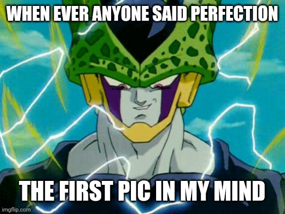 PERFECTION | WHEN EVER ANYONE SAID PERFECTION; THE FIRST PIC IN MY MIND | image tagged in dragon ball z perfect cell | made w/ Imgflip meme maker