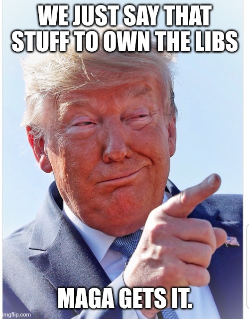 Trump pointing | WE JUST SAY THAT STUFF TO OWN THE LIBS MAGA GETS IT. | image tagged in trump pointing | made w/ Imgflip meme maker