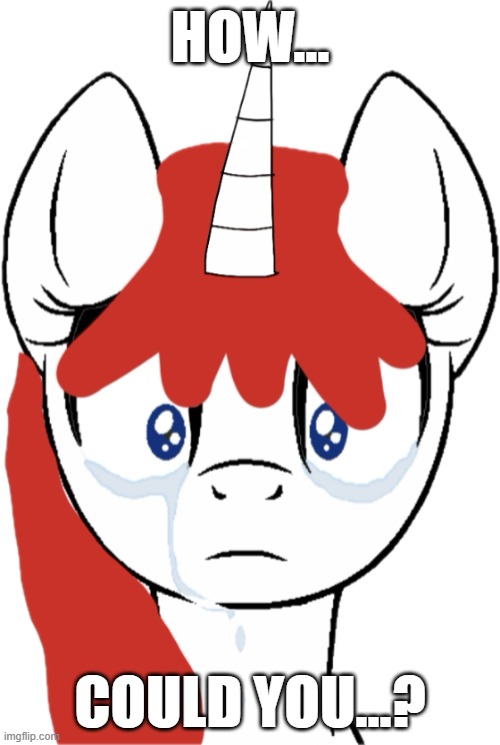 How... Could You...? | HOW... COULD YOU...? | image tagged in l money cry 1,mlp,l money,my little pony,prince little money,kingofmlp | made w/ Imgflip meme maker