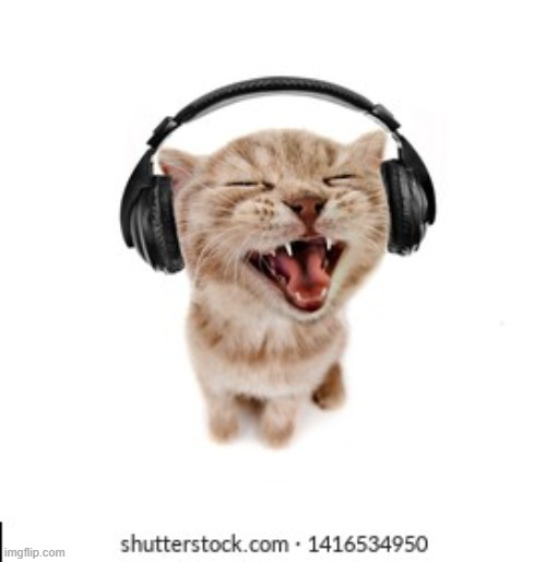 cat headphone | image tagged in cat headphone | made w/ Imgflip meme maker