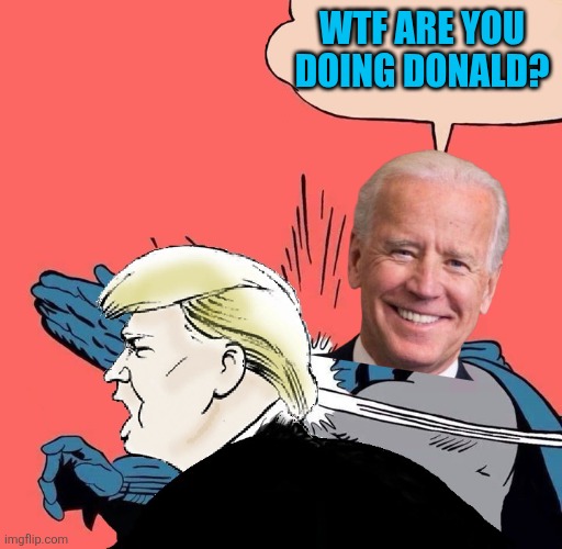 Batman slaps Trump | WTF ARE YOU DOING DONALD? | image tagged in batman slaps trump | made w/ Imgflip meme maker