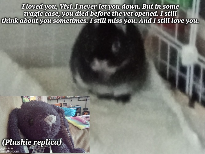 WHYYYYYYYYYYYY | I loved you, Vivi. I never let you down. But in some tragic case, you died before the vet opened. I still think about you sometimes. I still miss you. And I still love you. (Plushie replica) | image tagged in why | made w/ Imgflip meme maker