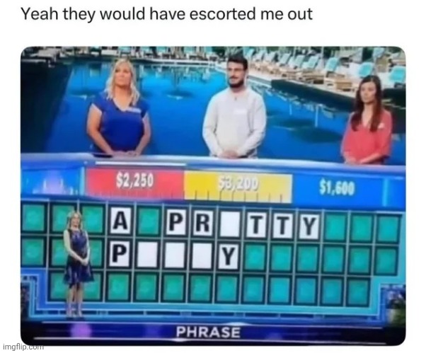 A pretty puppy | image tagged in shitpost | made w/ Imgflip meme maker