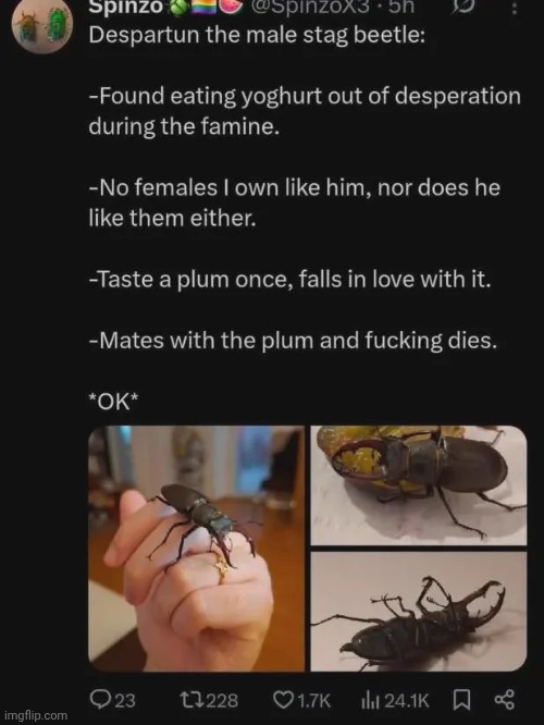 . | image tagged in shit | made w/ Imgflip meme maker