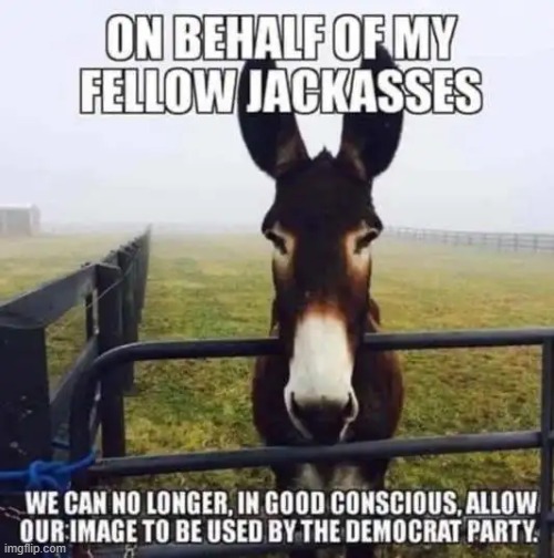 I would agree...they have abused all sense of reality and morality. | image tagged in democrats,abuse,logo,jackass,truth hurts | made w/ Imgflip meme maker