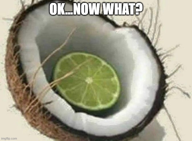 Song Stuck in your Head | OK...NOW WHAT? | image tagged in lime,coconut | made w/ Imgflip meme maker