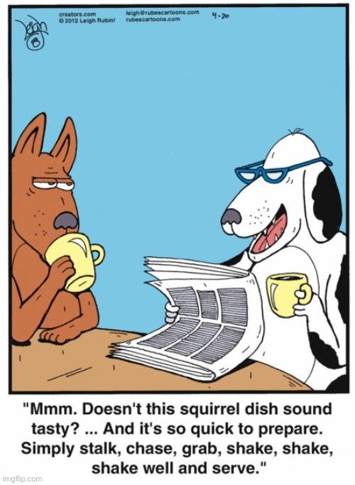Rubes | image tagged in comics,rubes,dogs,squirrel recipe | made w/ Imgflip meme maker