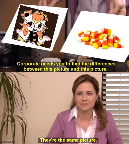 They're The Same Picture | image tagged in memes,they're the same picture | made w/ Imgflip meme maker