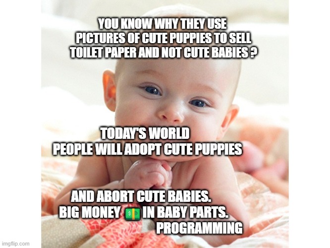 Cute Baby | YOU KNOW WHY THEY USE  PICTURES OF CUTE PUPPIES TO SELL TOILET PAPER AND NOT CUTE BABIES ? TODAY'S WORLD          PEOPLE WILL ADOPT CUTE PUPPIES                                                                            AND ABORT CUTE BABIES.             BIG MONEY 💵IN BABY PARTS.                                             PROGRAMMING | image tagged in cute baby | made w/ Imgflip meme maker