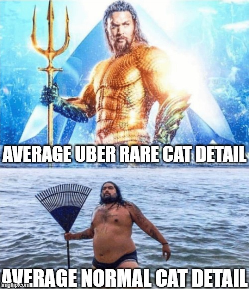 high quality vs low quality Aquaman | AVERAGE UBER RARE CAT DETAIL; AVERAGE NORMAL CAT DETAIL | image tagged in high quality vs low quality aquaman | made w/ Imgflip meme maker