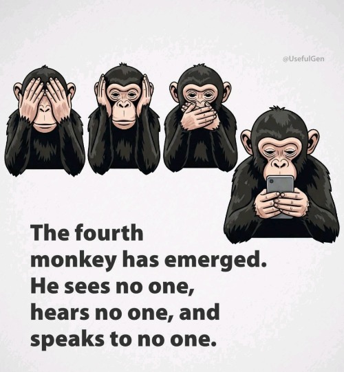 The Fourth Monkey Has Emerged | image tagged in the fourth monkey has emerged | made w/ Imgflip meme maker