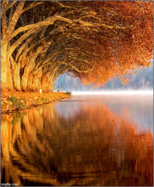 Baldeneysee Reservoir - Essen Germany | image tagged in trees,lake,reflection | made w/ Imgflip meme maker