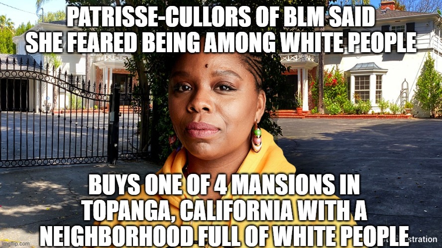 PATRISSE-CULLORS OF BLM SAID SHE FEARED BEING AMONG WHITE PEOPLE BUYS ONE OF 4 MANSIONS IN TOPANGA, CALIFORNIA WITH A NEIGHBORHOOD FULL OF W | made w/ Imgflip meme maker