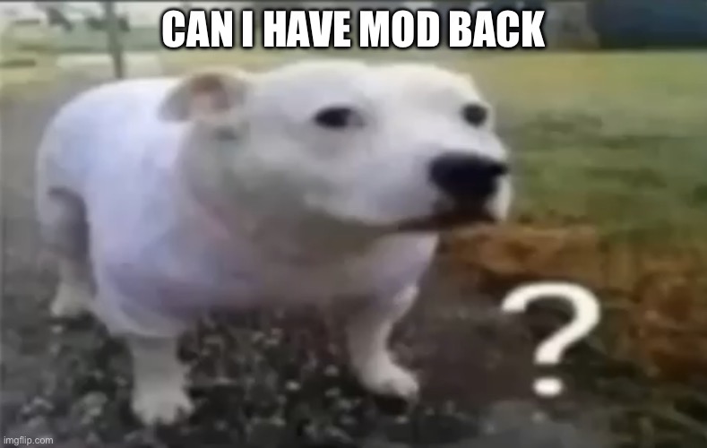 I’ll revive da stream | CAN I HAVE MOD BACK | made w/ Imgflip meme maker
