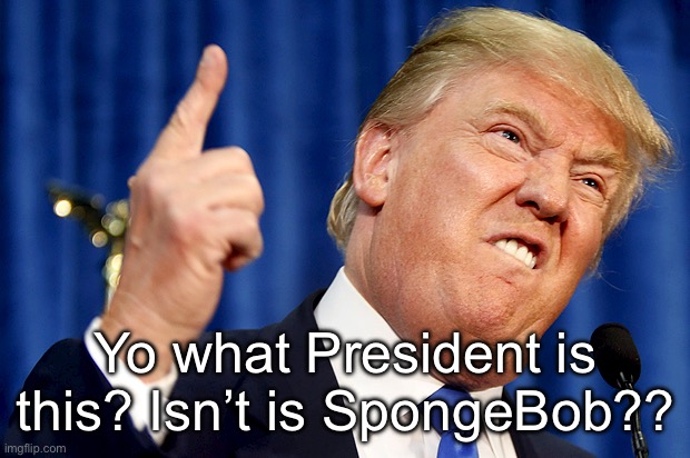 I rlly dunnoss… ts so hard :( | Yo what President is this? Isn’t is SpongeBob?? | image tagged in donald trump | made w/ Imgflip meme maker