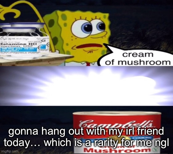 cream of mushroom | gonna hang out with my irl friend today… which is a rarity for me ngl | image tagged in cream of mushroom | made w/ Imgflip meme maker