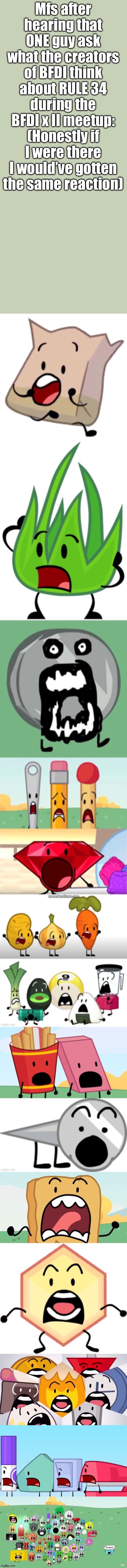 Bfdi shocked | Mfs after hearing that ONE guy ask what the creators of BFDI think about RULE 34 during the BFDI x II meetup:
(Honestly if I were there I would’ve gotten the same reaction) | image tagged in bfdi shocked | made w/ Imgflip meme maker