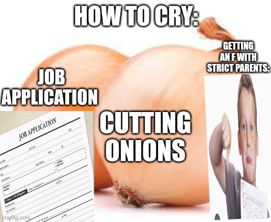 onions | HOW TO CRY:; GETTING AN F WITH STRICT PARENTS:; JOB APPLICATION; CUTTING ONIONS | image tagged in onions | made w/ Imgflip meme maker