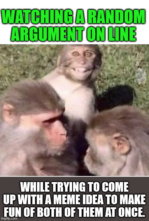 Meme Inspiration | WATCHING A RANDOM ARGUMENT ON LINE; WHILE TRYING TO COME UP WITH A MEME IDEA TO MAKE FUN OF BOTH OF THEM AT ONCE. | image tagged in tense situation monkey,lighten up,have fun,argument,grow up,instigator | made w/ Imgflip meme maker