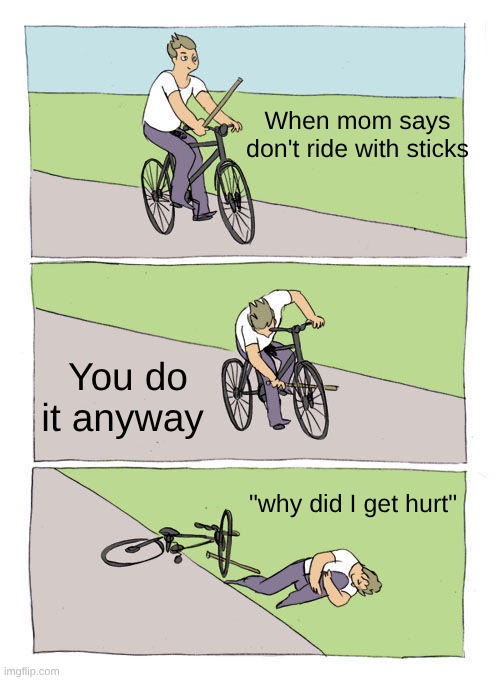 Bike Fall | When mom says don't ride with sticks; You do it anyway; "why did I get hurt" | image tagged in memes,bike fall | made w/ Imgflip meme maker