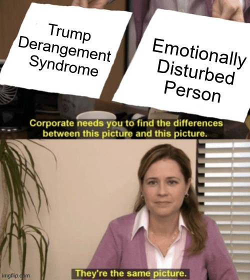 Liberalism | Trump
Derangement 
Syndrome; Emotionally
Disturbed
Person | image tagged in corporate needs you to find the differences,tds,liberals,eds | made w/ Imgflip meme maker