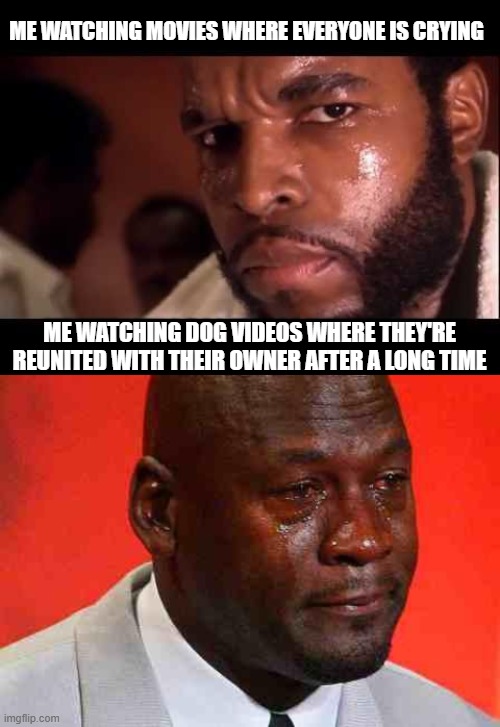 Emotional over dogs | ME WATCHING MOVIES WHERE EVERYONE IS CRYING; ME WATCHING DOG VIDEOS WHERE THEY'RE REUNITED WITH THEIR OWNER AFTER A LONG TIME | image tagged in mr t,crying michael jordan,dog videos | made w/ Imgflip meme maker